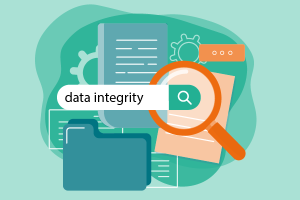 audit data integrity